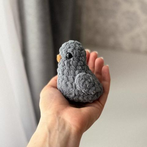 Голубь
