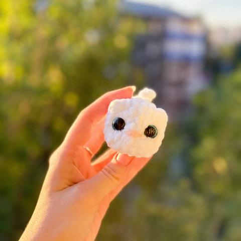 Микро котики